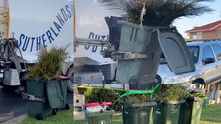 TOP 5 MOST FULL BINS!!