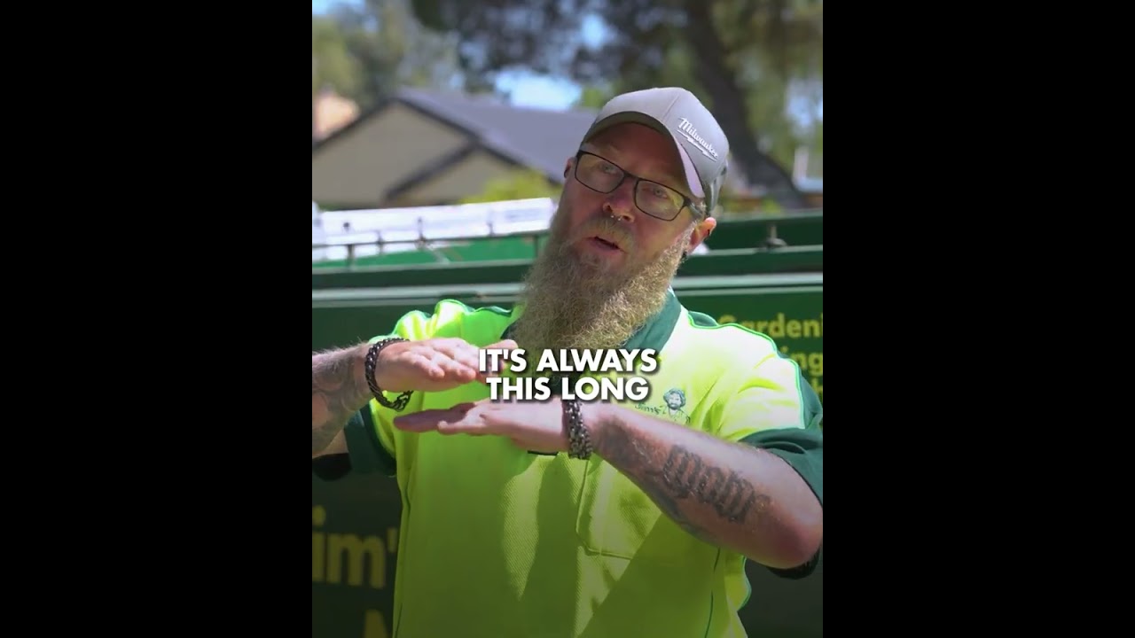 The Instant Gratification of Professional Mowing The Instant Gratification of Professional Mowing