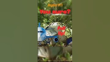 “Planes can’t speak! 🤓👆” | #shorts #aviation