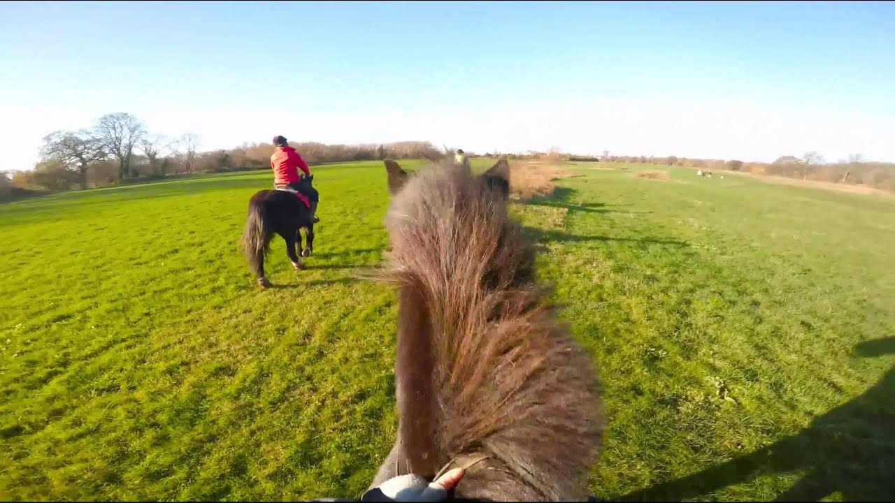 Gopro Pony Racing GoPro Horse Riding, Blustery Winds & Bouncy Ponies! 21/11/15 - YouTube