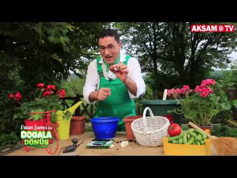 aksamite tábor Evde Tarım Yapmak Mümkün Mü? | Doğala Dönüş