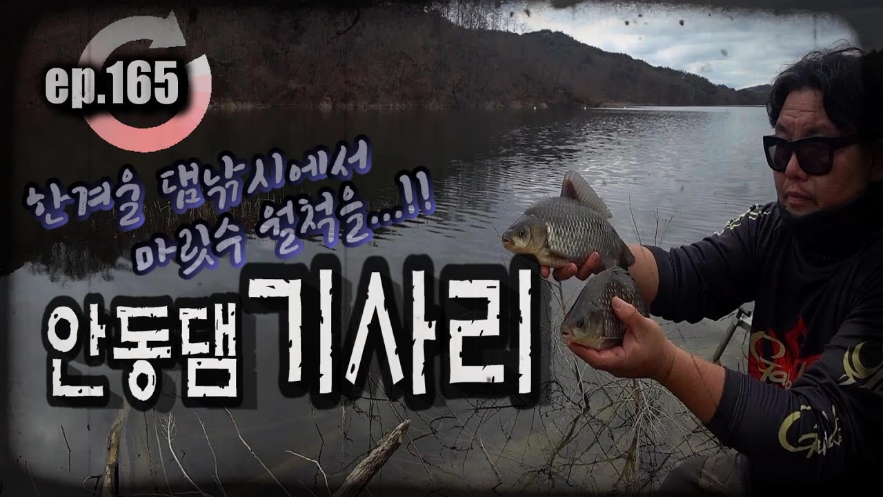 [ep.165] 한겨울 댐낚시 이 맛에 합니다!! 완전히 저 세상 손맛, 안동댐 기사리권 마릿수 월척!! #안동댐 #안동호 #기사리 #붕어낚시 #겨울붕어낚시 #댐낚시