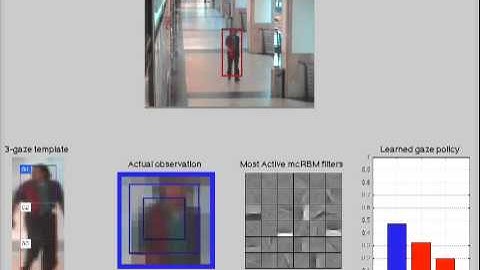 Single-target tracking mcRBM