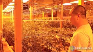 Van Ton Grower