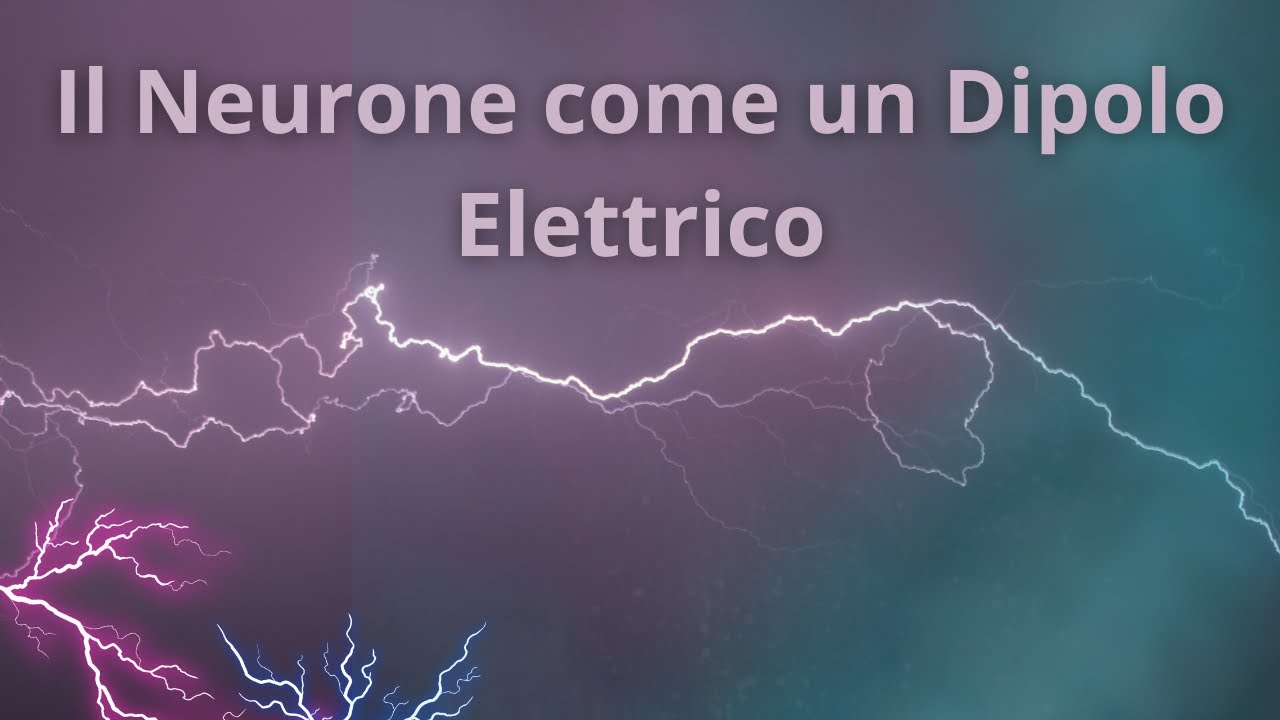 Il Neurone come un dipolo elettrico - YouTube