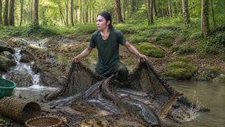 Survival Alone Catch Giant Fish in Small Stream, Farm Life Survival
