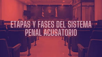 ¿Cuáles son las 3 de la investigación penal?