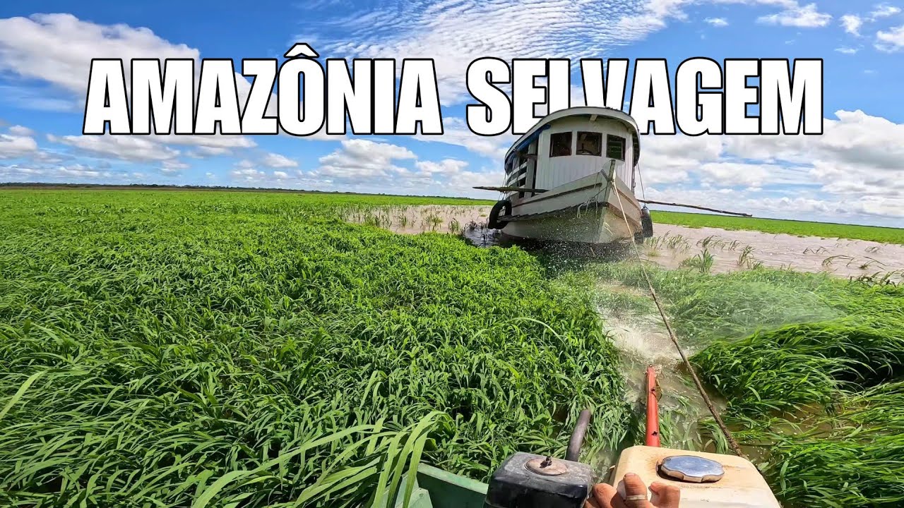 VIDA DOS RIBEIRINHOS NA AMAZÔNIA SELVAGEM / CADA DIA UMA NOVA AVENTURA