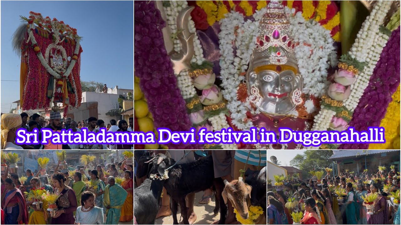  Sri Pattaladamma Devi festival in Dugganahalli ದುಗ್ಗನಹಳ್ಳಿ ಶ್ರೀ ಪಟ್ಟಲದಮ್ಮ ದೇವಿ ಉತ್ಸವ #shortvideo 