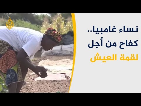 نساء غامبيا يجسدن دور الأفريقية الريادي لتطوير مجتمعها