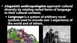 Introduction to Anthropology