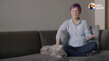 SAN FRANCISCO DOG TRAINER GIVES TIPS TO "THE DODO" FANS