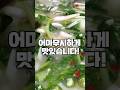 쌩초보도 100 성공하는 톡 쏘는 시원한 열무물김치 담는법 쌩초보도 100 성공하는 톡 쏘는 시원한 열무물김치 담는법
