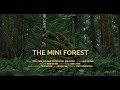 THE MINI FOREST Rewilding Using The Miyawaki Method 
