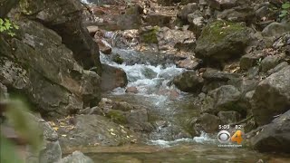 Lake Plan Limits Visitors To 615 Per Day, Requires Permit