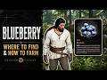 How to find Blueberry FAST - Crimson Desert