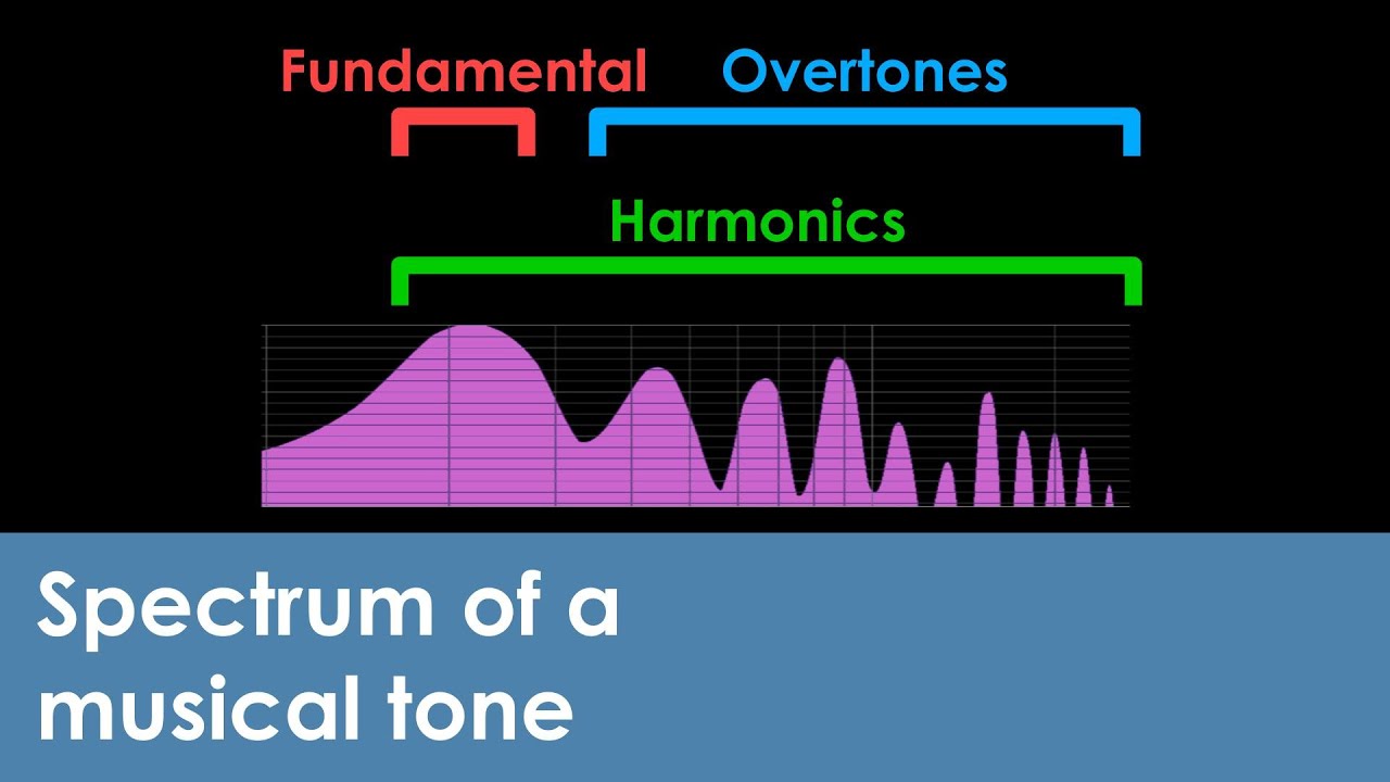 What are the fundamental frequency and harmonics in a musical tone?
