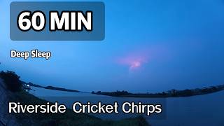 Quiet Riverside Night 1 Hour｜Authentic Cricket Chirps As Background Sound for Rest screenshot 5