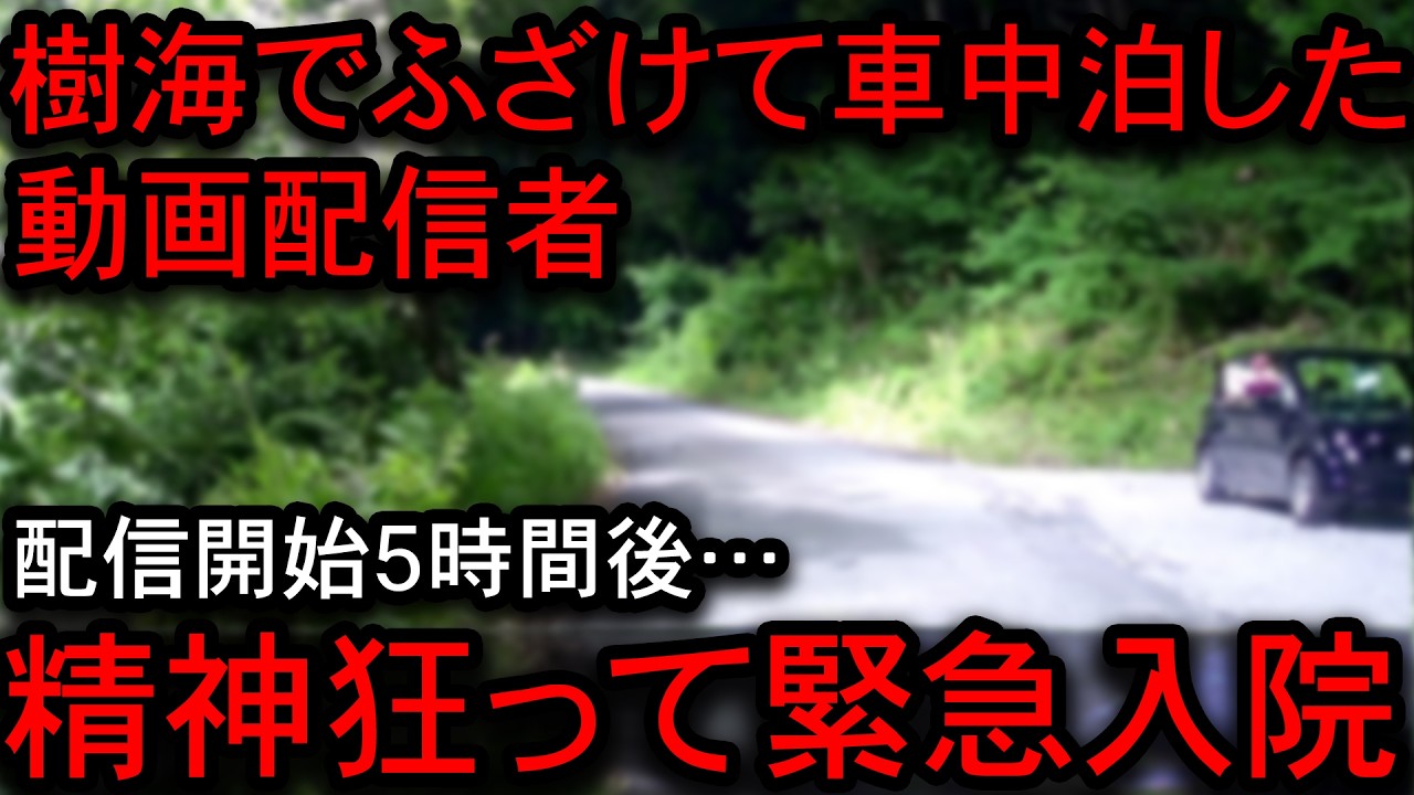 【2ch怖い話】青木ヶ原樹海でふざけて車中泊配信をしたユーチューバーの末路