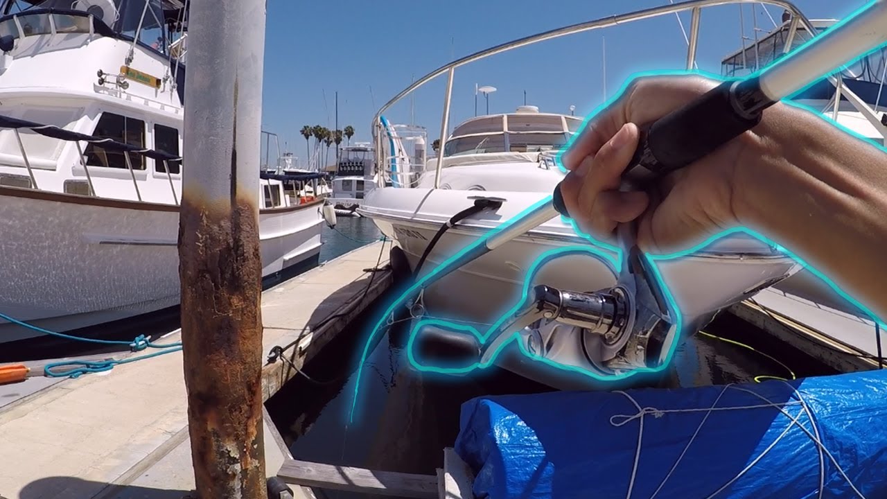 Surprise Catch In Southern California Harbor (Fishing)
