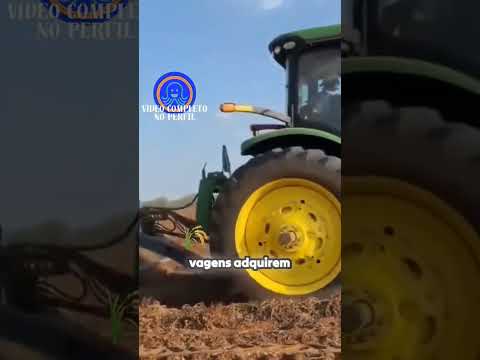 Amendoim: a importância