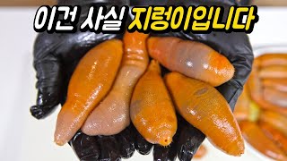 Why do Koreans eat Spoon Worm?(Spoon Worm Mukbang)