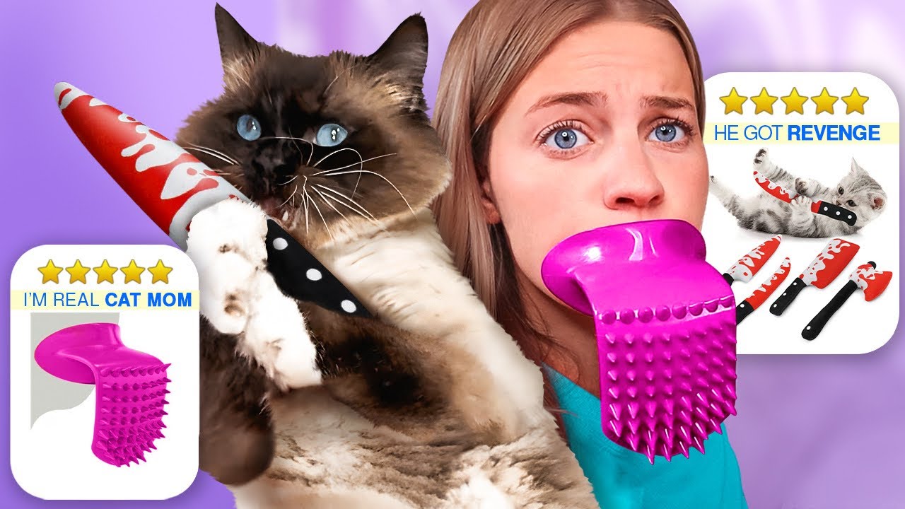 Testing WEIRD AMAZON Cat Products *again*