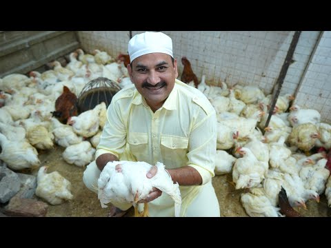 HYDERABAD MUSLIM MARRIAGES STYLE GREEN CHICKEN | WITH FRUIT SALAD | NAWABS KITCHEN