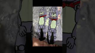 #pasitoperron