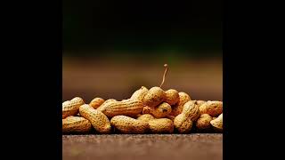 The peanut patch is promising for young children with peanut allergies
