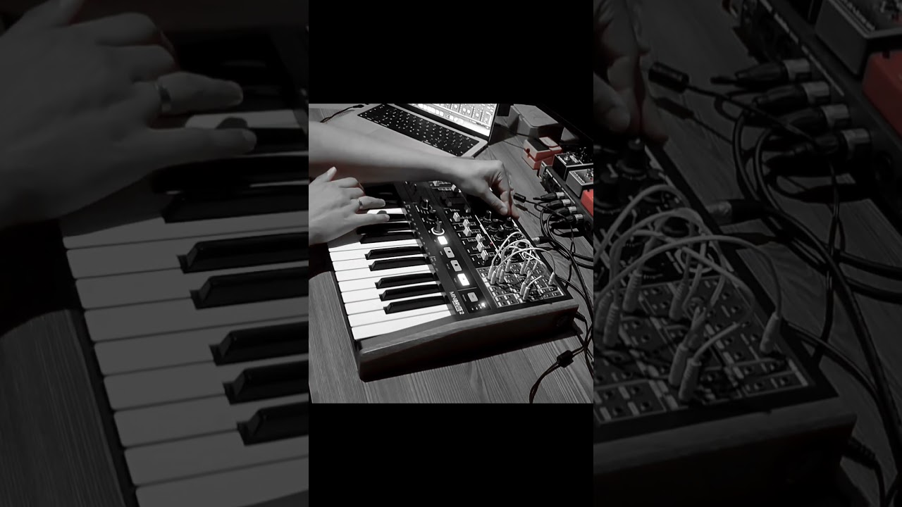 Arturia Minibrute 2