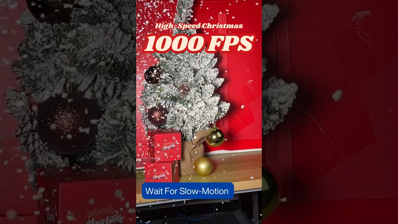 Christmas Tree in Stunning 1000 FPS Slow Motion! 🎄✨