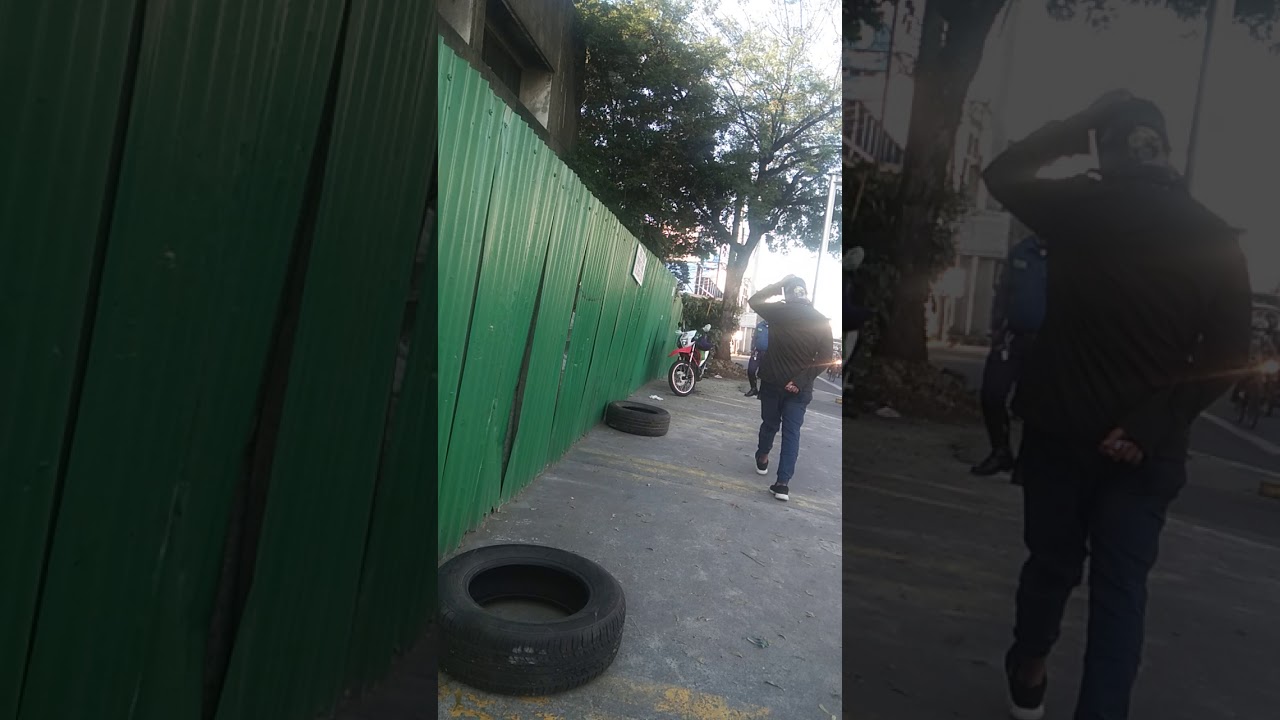 MMDA na buwaya Maggalines road