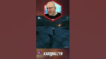 Wait! I Have A Permit! #valheim #twitch #gaming