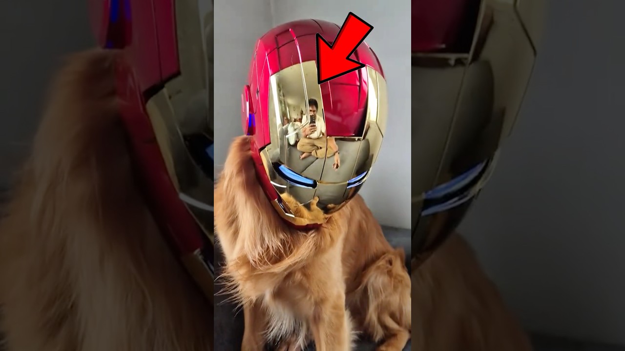 Hidden Animal Powers 🧠✨ 