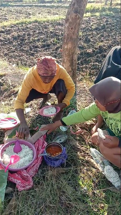 sarapan pagi di sawah