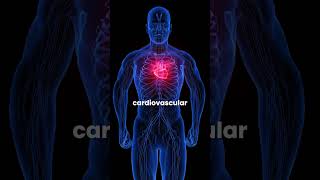 The Real Cause of Aging? How Chronic Inflammation Affects Longevity and Cellular Health