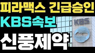 [신풍제약]🔥KBS속보 피라맥스 긴급승인 !! #신풍제약 #신풍제약주가 #신풍제약주가전망