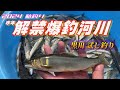 【鮎釣り2024】昨年 好調だった黒川の解禁前 成育調査試し釣り！