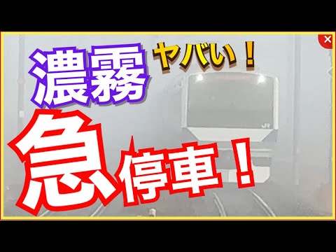 【これはヤバい‼️】濃霧で遅延してる常磐線E531系が、突然の急停車！揺れがエグすぎる‼️