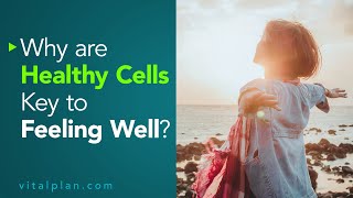 Why are Healthy Cells Key to Feeling Well | Vital Plan Webinar Short