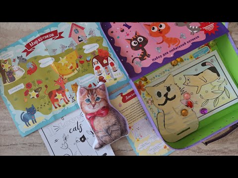 Я 🧡 КОТИКОВ / квест по кошачьему царству!