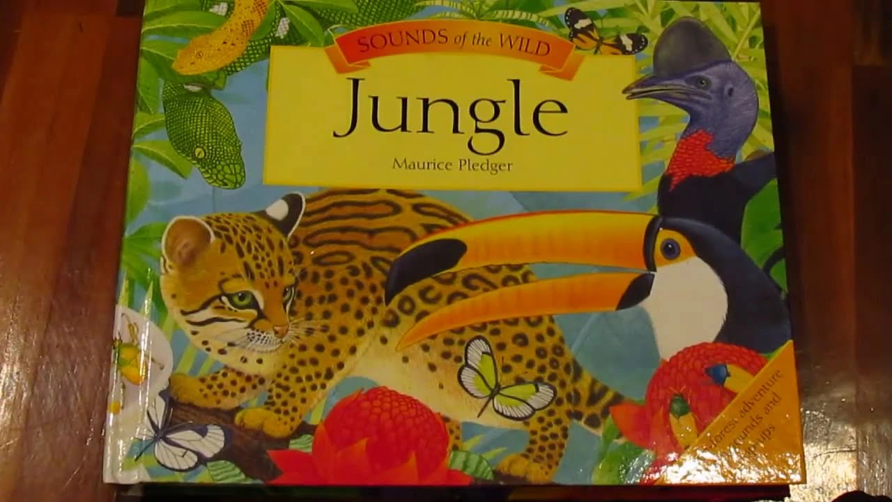 Jungle Sound book new MOV - YouTube