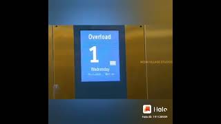 Mengalah Lebih Baik Daripada Mendesah