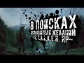 В ПОИСКАХ ИСПОЛНИТЕЛЯ ЖЕЛАНИЙ ● STALKER ONLINE RP ● СТРИМ ALTERNATE project | STALKER RP