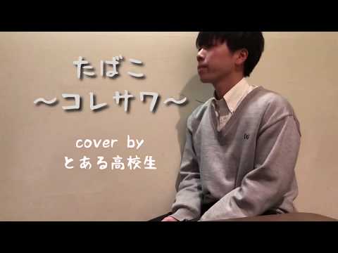 たばこ 〜コレサワ〜 cover by とある高校生(キー -3) - YouTube