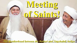 The BROTHERHOOD between Ba'Alawi and Naqshbandi Awliya! - Shaykh Hisham Kabbani Habib Umar Bin Hafiz