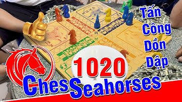 Chess 1020 - Không Thể Rời Mắt Với Ván Cờ Cá Ngựa Tấn Công Dồn Dập Từ Đầu Tới Cuối Này - Quá Đặc Sắc