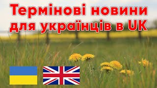 Homes for Ukraine подовжено!