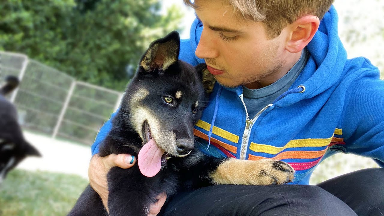 We had to take Green back..